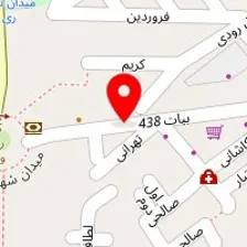 دکتر سیمین امیریان