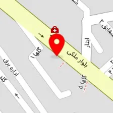 کارشناس مامایی شیوا اهدایی وند