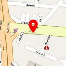 دکتر ندا سادات حکیمیان