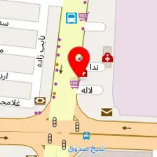 دکتر رویا کلیشادی