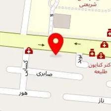 دکتر زهرا علیان