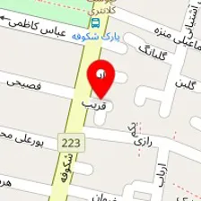 کارشناس مامایی طیبه صباغی