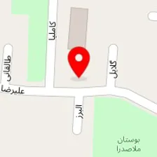 تاسیسات کاملیا