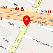 پت شاپ آبشار