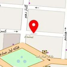 فیزیوتراپی در منزل صادقیه