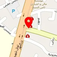 فیزیوتراپی ایرانیان