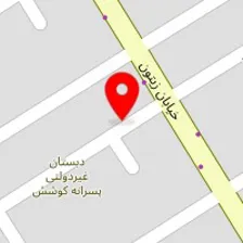 فیزیوتراپی علی