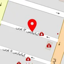 دکتر پویان علوی نژاد