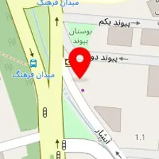 شرکت دامون سرویس