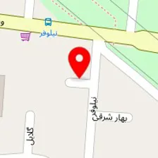 دکتر رقیه بارسم ممقانی