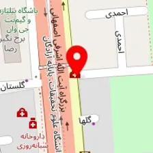 دکتر آذرمیدخت ارم