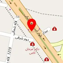 دکتر مجید رفیعی