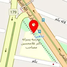 دکتر فیروزه رئیسی