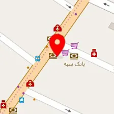 دکتر مهرداد عدلی