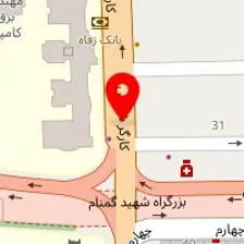 دکتر حمیدرضا پوراعتماد