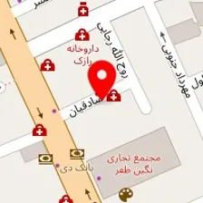 دکتر نسرین دودانگی