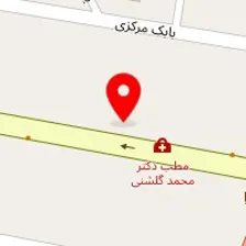 دکتر شیوا عابدی