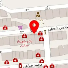 دکتر سعید انصاری