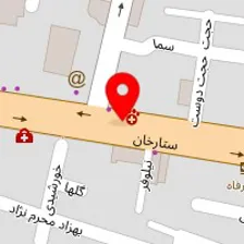 دکتر زهرا سلمانی