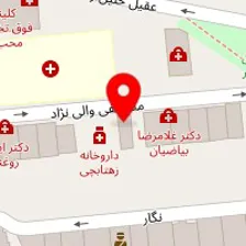 دکتر پریسا منوچهرطیبی