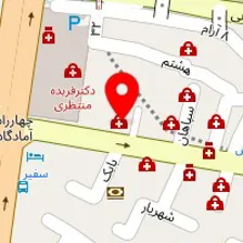 دکتر محسن رئیسی دهکردی