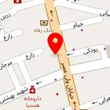 دکتر حسن رضایی