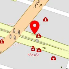 دکتر فردوس نظری