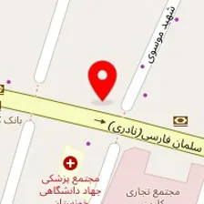 دکتر محمدمهدی غدیری