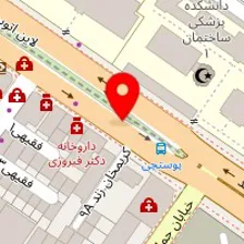 دکتر مرضیه بلاغی اینالو