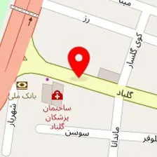 دکتر رضا ریخته گر غیاثی