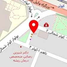 دکتر مهدی افضل