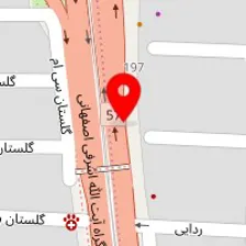 دکتر شایسته پراشی