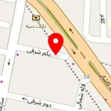 دکتر زهرا طبسی