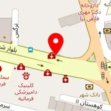 دکتر نسرین صفی الدین