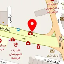 دکتر شهین فتحی نژاد