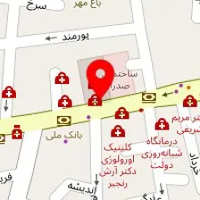 دکتر نوشین عطایی