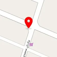 دکتر محمدرضا مدرسی