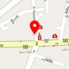 دکتر ناهید روغنی زاد