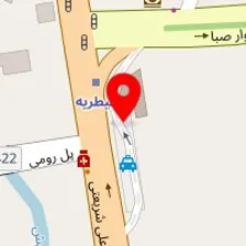 دکتر پریسا علمی