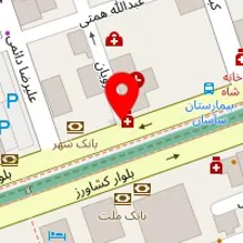 دکتر حسین دانایی