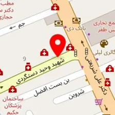 دکتر فردوس صالح سری