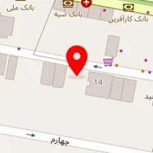 دکتر مینا مقصودی