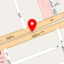 دکتر نرجس نایب هاشمی