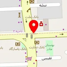 دکتر فاطمه نعمت الهی