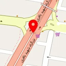 دکتر میرداود میرحسینی