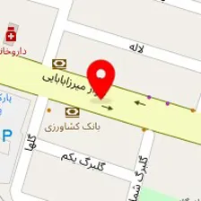 فیزیوتراپی آراز