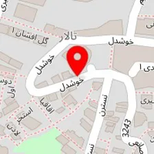 ماساژ تراپیست حسن لطفی