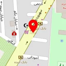 فیزیوتراپی پالیزی