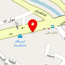 پلاسکو نگارین