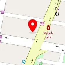 پرده سرای نایس